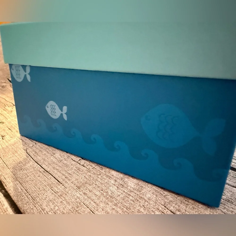 Set of 2 decorative storage boxes. Super cute!